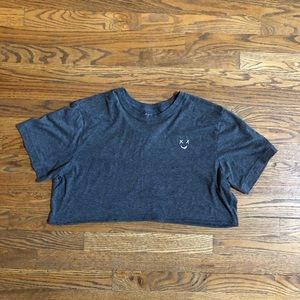 Embroidered short sleeve crop top